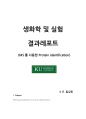 MS 1페이지