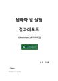 계대배양 1페이지
