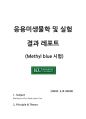 Methyl blue 1페이지