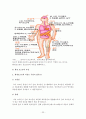 환경과 미래 24페이지