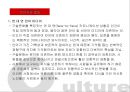 디지털 시대와 문화.PPT자료 2페이지
