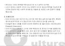 디지털 시대와 문화.PPT자료 4페이지
