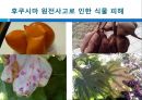 핵에 따른 인간생활의 환경적 문제.PPT자료 14페이지