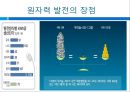 핵에 따른 인간생활의 환경적 문제.PPT자료 21페이지