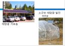 핵에 따른 인간생활의 환경적 문제.PPT자료 28페이지
