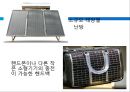 핵에 따른 인간생활의 환경적 문제.PPT자료 30페이지