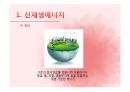 인간과 환경 태양에너지  3페이지