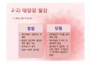 인간과 환경 태양에너지  15페이지