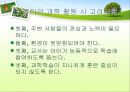 [보육학개론] 탐구활동을 통한 과학교육프로그램 - 활동계획안, 활동안포함 PPT자료 18페이지