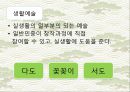 다도 4페이지