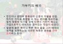 다도 19페이지
