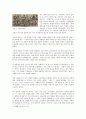 현대예술-추상표현주의 3페이지