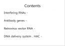 rna간섭전체 - Interfering RNAs-nucleic acid delivery.PPT자료 2페이지