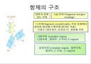 rna간섭전체 - Interfering RNAs-nucleic acid delivery.PPT자료 17페이지