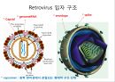 rna간섭전체 - Interfering RNAs-nucleic acid delivery.PPT자료 28페이지