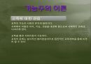 [교육학개론] 교육사회의 이론 발표.ppt 6페이지