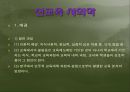 [교육학개론] 교육사회의 이론 발표.ppt 15페이지