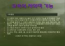 [교육학개론] 교육사회의 이론 발표.ppt 20페이지