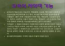 [교육학개론] 교육사회의 이론 발표.ppt 23페이지