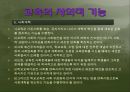 [교육학개론] 교육사회의 이론 발표.ppt 25페이지