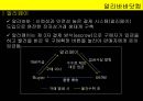 전자상거래 알리바바 13페이지