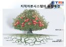한국전자통신연구원 (KM : Knowledge Management).ppt 24페이지
