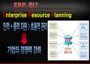 홈플러스&허쉬erp 3페이지