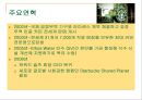 스타벅스(Starbucks)의 글로벌마케팅전략 - 스타벅스의 글로벌 확장.ppt 8페이지
