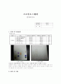 [실험] (결과) 크로마토그래피(Chromatography) 1페이지