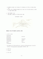 다국적기업론 강의노트 12페이지