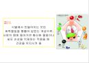 컬러푸드 12페이지