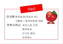 컬러푸드 17페이지