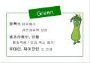 컬러푸드 23페이지