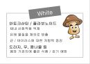 컬러푸드 27페이지