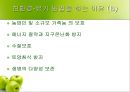 친환경 농산물과 친환경 요리.ppt 6페이지