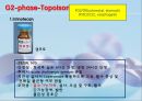 항암화학요법의 분류와 부작용.ppt 36페이지
