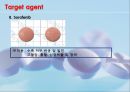 항암화학요법의 분류와 부작용.ppt 52페이지