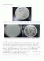 병원미생물학실험_report_6_(Catalase 와 Protease 효소 확인) 13페이지