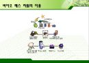 신·재생에너지 바이오 매스 (원료, 자원, 에너지 특징, 에너지 종류 및 용도, 바이오 에너지기술, 바이오 가스).PPT자료 6페이지