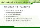 신·재생에너지 바이오 매스 (원료, 자원, 에너지 특징, 에너지 종류 및 용도, 바이오 에너지기술, 바이오 가스).PPT자료 12페이지