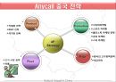 애니콜 & 노키아 (Anycall & Nokia In China) (중국 시장 분석, 중국 전략, 두기업 비교 분석, 성공 요인 분석) .PPT자료 13페이지