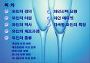 와인어원,와인역사,마케팅,브랜드,브랜드마케팅,기업,서비스마케팅,글로벌,경영,시장,사례,swot,stp,4p 2페이지