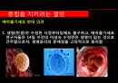 정의,낙태,줄기세포,동성혼,사회문제,이슈,마케팅,브랜드, 14페이지