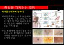 ‘ 정의란 무엇인가’ (중립을 지키려는 열망, 낙태와 줄기세포 논란, 동성혼, 정의와 좋은 삶, 공동선의 정치).PPT자료 14페이지