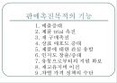 판매촉진,마케팅사례,마케팅전략,마케팅,브랜드,브랜드마케팅,기업,서비스마케팅,글로벌,경영,시장,사례,swot,stp,4p,정의 6페이지