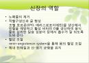 사례연구(CRF)를 통한 간호과정과 비판적 사고 (만성신부전증 환자 임상 사례) 5페이지