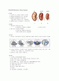 만성신부전 [Chronic Renal Failure]  1페이지