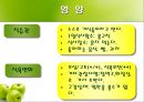 정신분열증 사례연구  8페이지