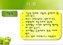 정신분열증 사례연구  10페이지