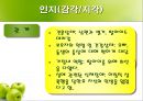 정신분열증 사례연구  15페이지